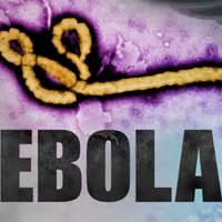Ebola virus disarmed by excising a single gene