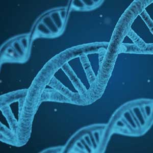 AMP joins ACLU to challenge BRCA gene patents