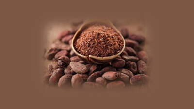 Dietary cocoa flavanols reverse age related memory decline