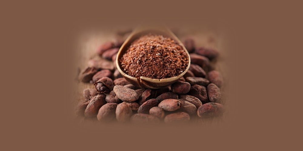 Dietary cocoa flavanols reverse age related memory decline