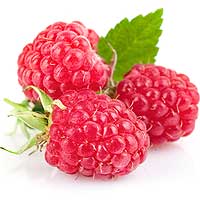 Raspberries good for patients with heart disease, diabetes, obesity and Alzheimer’s