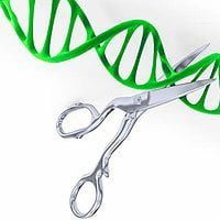 Gene editing may prevent genetic and inherited diseases