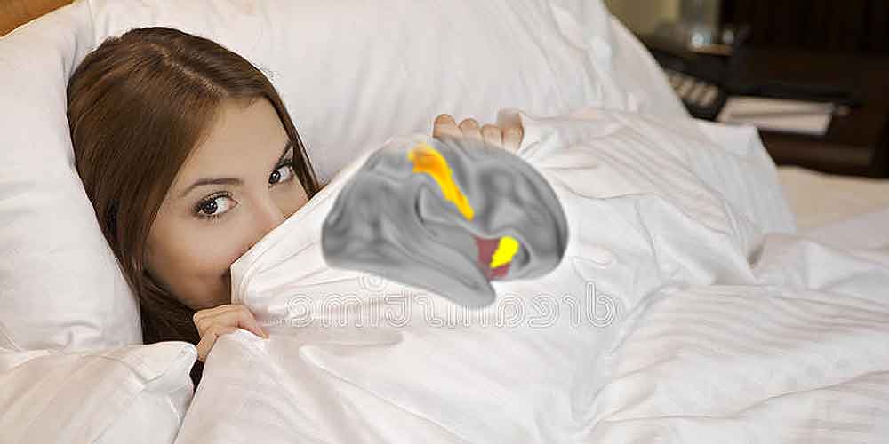 Short wakeful rest may help our brains learn new skills