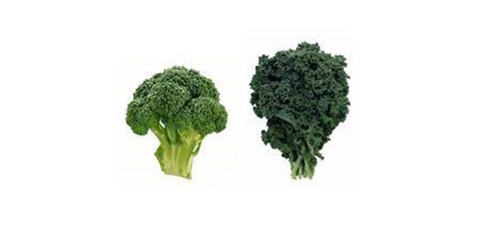 Broccoli rich diet prevents prostate cancer