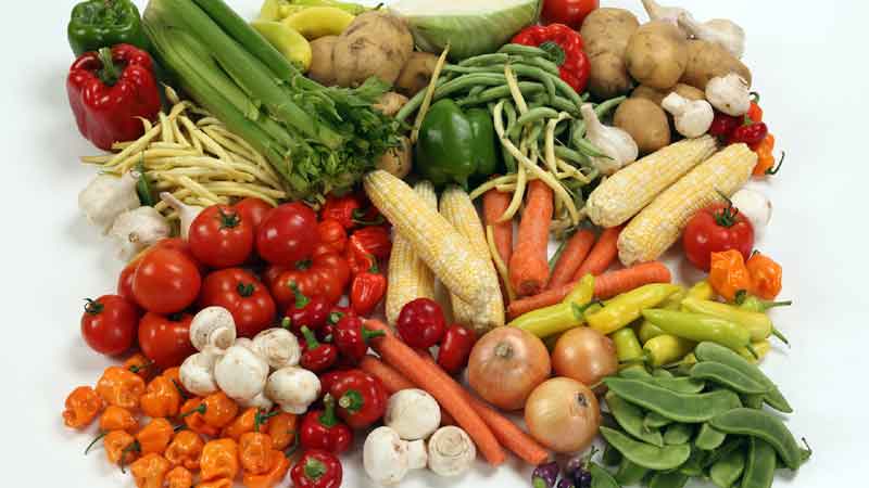 Colorful Plates for Prostate Health: The Power of Nutrient-Rich Diets in Cancer Prevention and Recovery