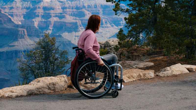 Unraveling the Mysterious Connection: Multiple Sclerosis, Atherosclerosis, and Heart Health