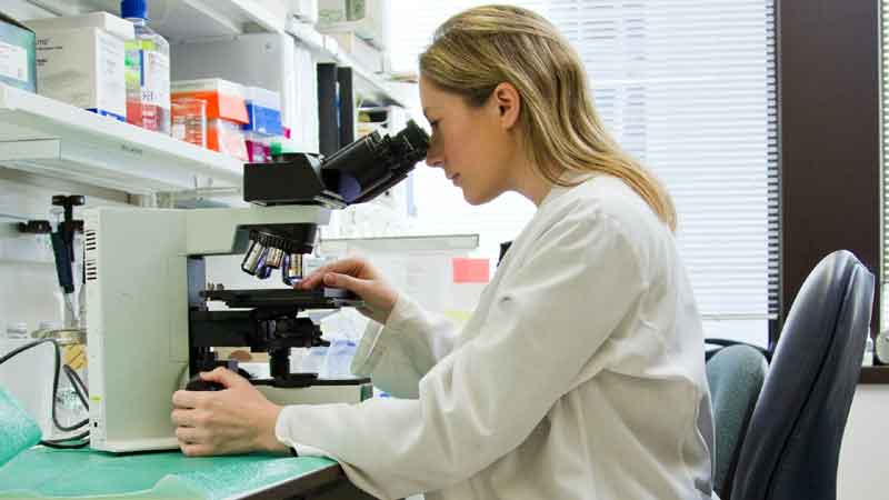 Unexpected Allies: Neutrophils’ Role in Eradicating Tumors Unveiled in T Cell Immunotherapy Study