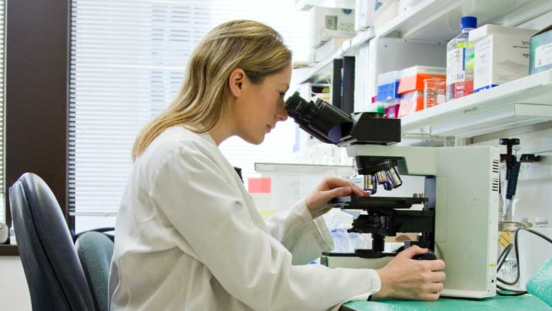 The Rising Threat of Human Metapneumovirus: What You Need to Know