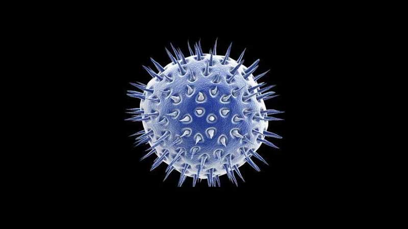 New Study Review Explores Homeopathy’s Potential in the Fight Against COVID-19