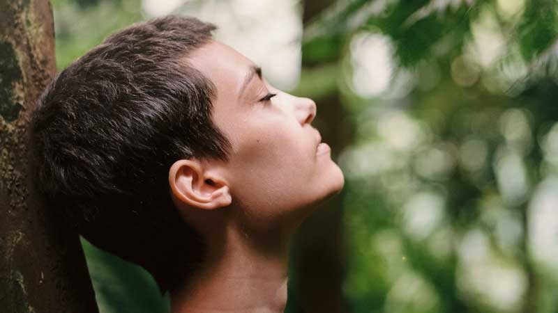 Harmony in Being: A Guide to Uniting Body and Soul Through Mindfulness