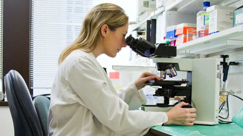 Pathogens Unveiled: Understanding Our Microscopic Foes