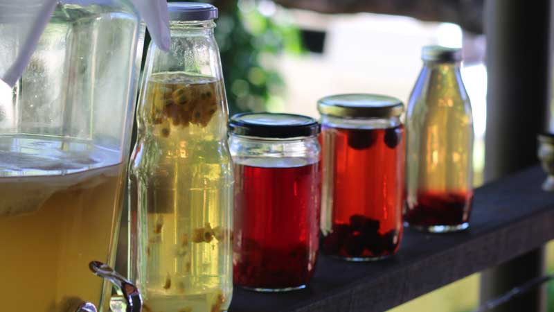 Beneficial Bacteria: A Deep Dive into Probiotics, Prebiotics, and Immunobiotics