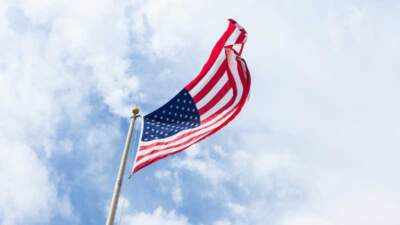 Unfurling Health: An In-depth Reflection on America’s Independence Day